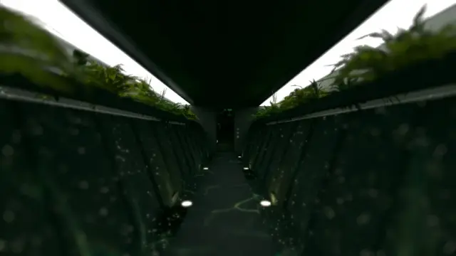 REYOV background 4