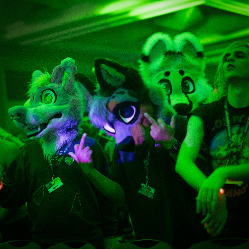 Cover art for MIDWEST FURFEST 2025 by APL