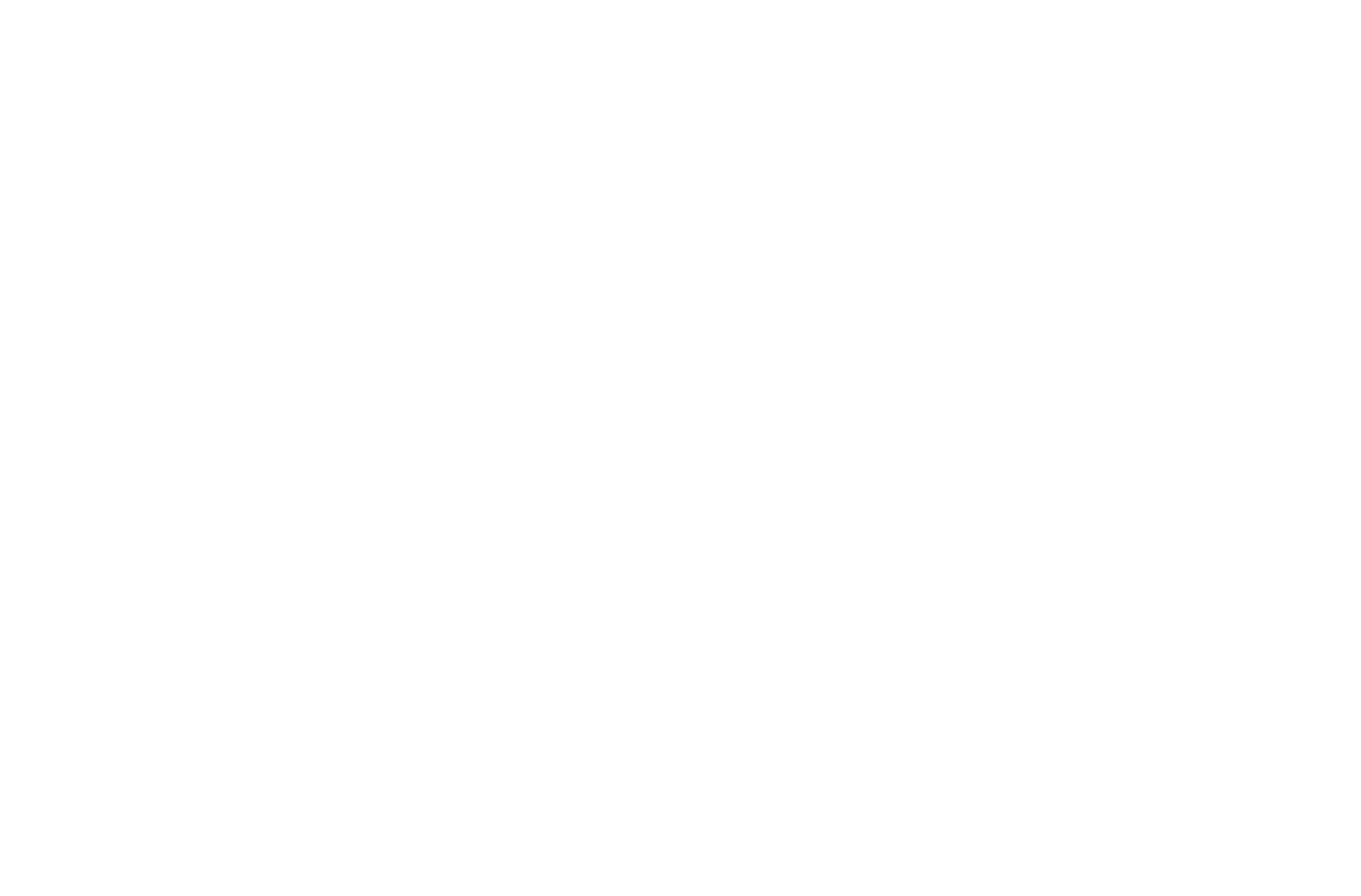 LEUCiS Wordmark