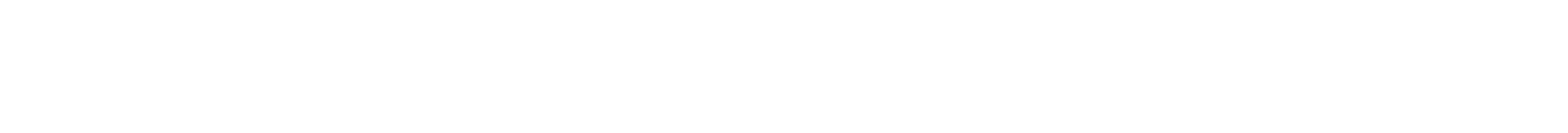 Connection Wordmark