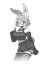 Marco
